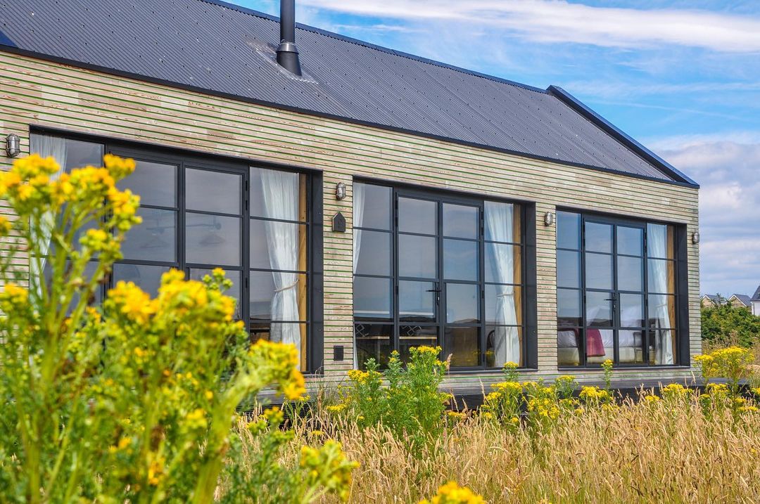 Modern single-storey house with black-framed steel look aluminium doors and floor-to-ceiling glazing, surrounded by yellow wildflowers.